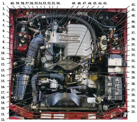 foxbody engine bay diagram